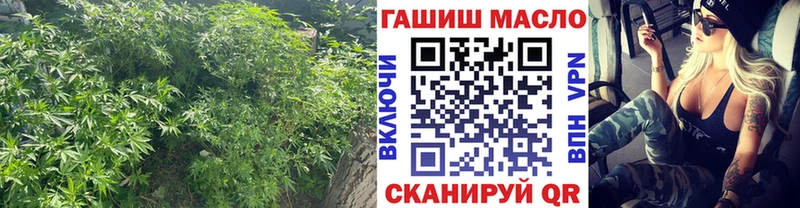 ТГК Wax  Купить где  Нальчик 